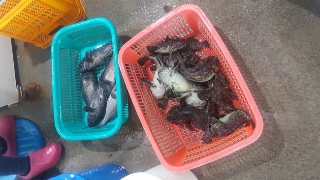 Partake in the Vesak Ceremony at Yonggungsa Cham Joeun Uri Temples